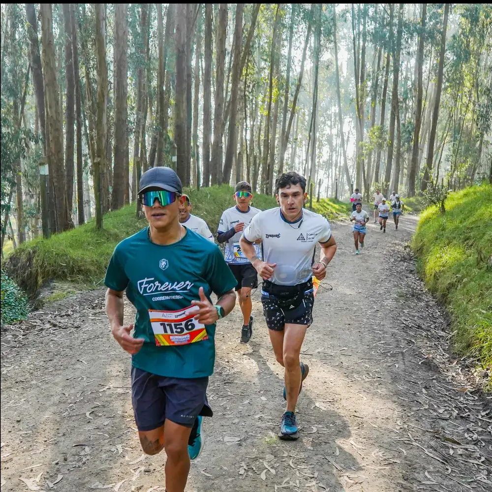 Grupo de atletas corriendo por un sendero destapado rodeado de un bosque de eucaliptos iluminado por el sol durante el recorrido ecoturístico de la carrera Trail Running de Colores en Zipaquirá